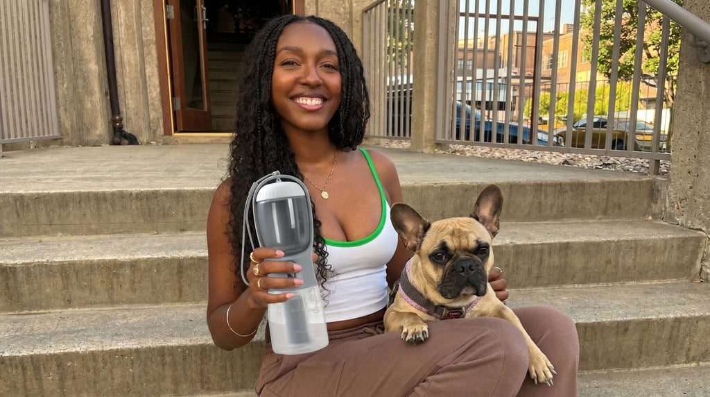 3-in-1 Dog Walking Kit